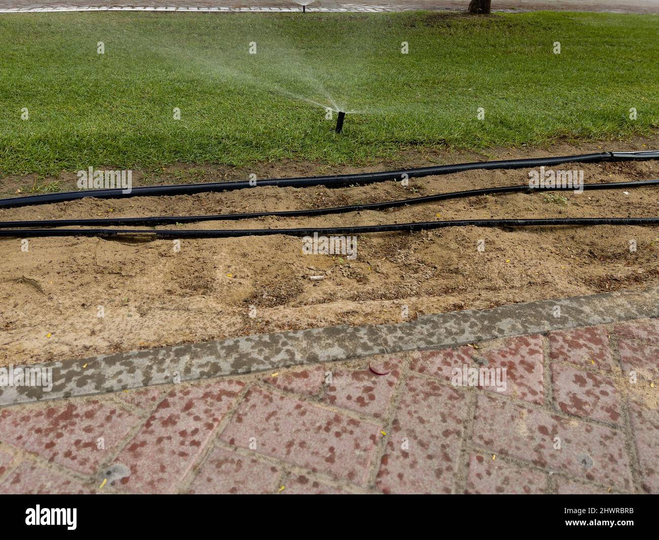 Arrosage automatique de la pelouse. Technologie d'arrosage du jardin ou de l'arrière-cour. Banque D'Images