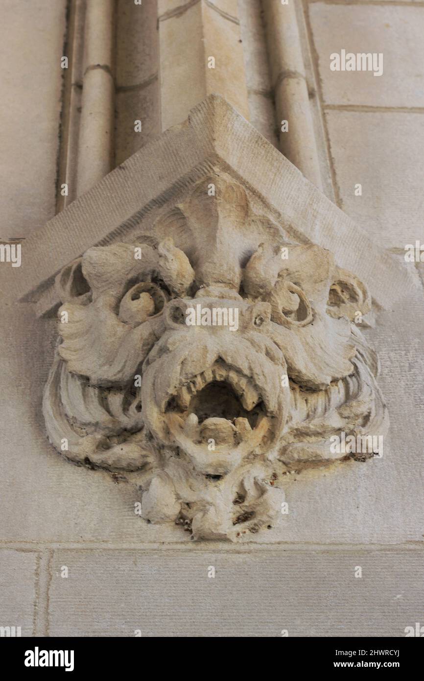 Ancien lion de gargouille gothique médiéval rugissant comme décoration pour un mur de pierre. Banque D'Images