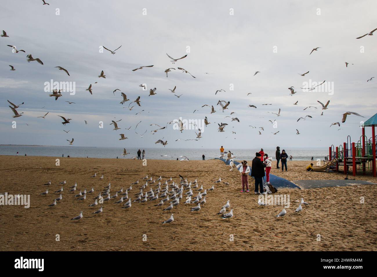 Les résidents de Brighton Beach se réunissent pour un rassemblement pro Ukraine à la promenade de Riegelmann et Brighton 6th. Beaucoup portent les couleurs jaune et bleu du drapeau ukrainien pour montrer leur soutien. Les plus grandes communautés ukraniennes-américaines de New York sont situées dans les zones de Brighton Beach et Sheepshead Bay à Brooklyn. Brighton Beach a été surnommé Little Odessa en raison de sa population d'immigrants d'Ukraine, de Russie et d'autres territoires ex-soviétiques. Pris le 6 mars 2022, à Brooklyn, New York . Des gens du monde entier ont affiché des panneaux et suspendu des drapeaux ukrainiens pour soutenir l'Ukraine après Russi Banque D'Images
