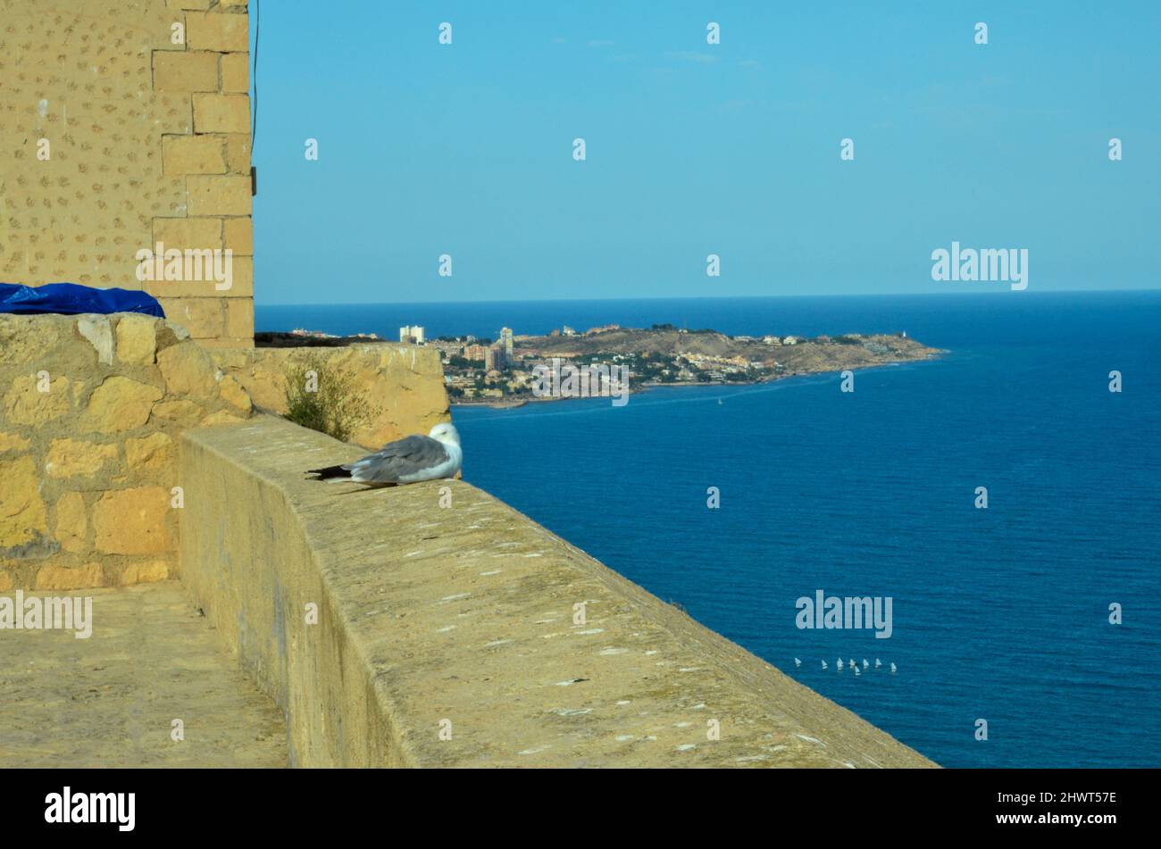 Alicante, Espagne - juillet 17 2019: Vue du Castillo de Santa Bárbara à la mer Méditerranée en face d'Alicante. Sur le mur du château se trouve un seagu Banque D'Images