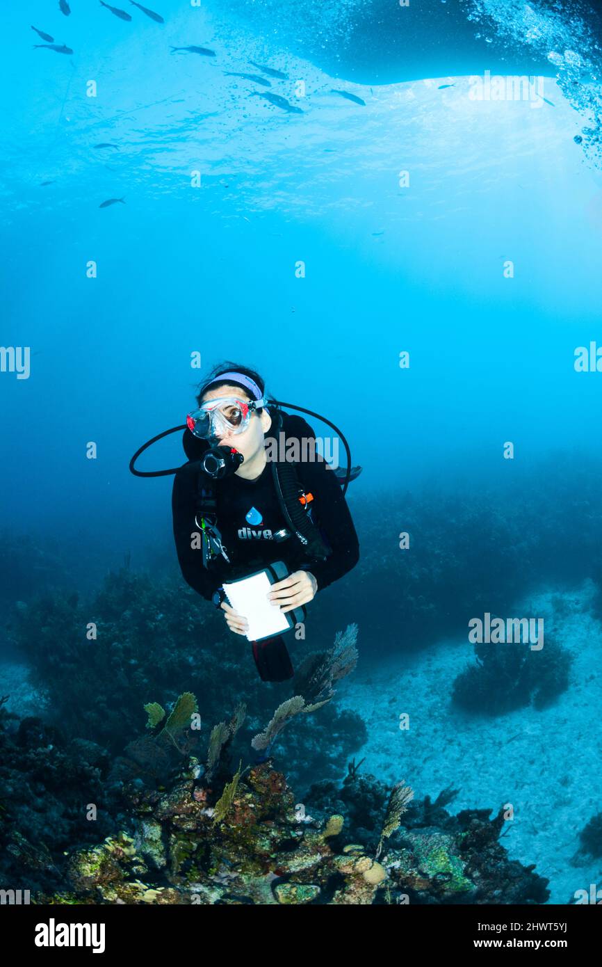 Femme plongée sous-marine aux Bahamas Banque D'Images