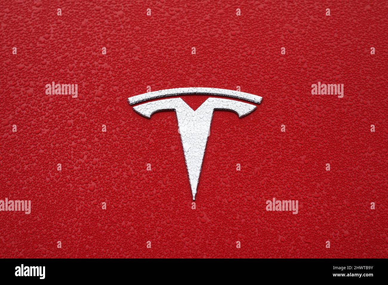 Symbole Tesla à l'avant de la voiture avec rosée du matin sur le capot du véhicule Banque D'Images