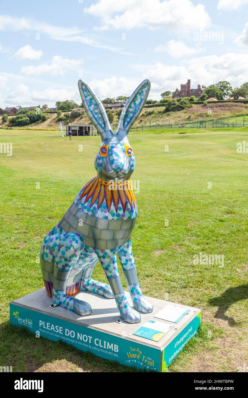 « Ky and Sea » par l'artiste Georgina Brown Big Hare Trail North Berwick Banque D'Images