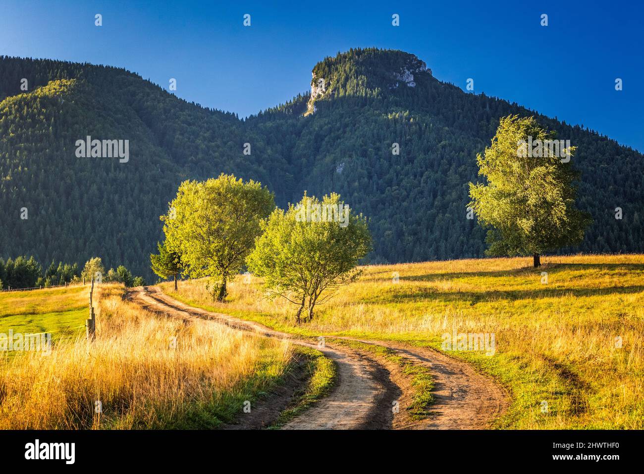 Paysage avec montagnes au lever du soleil. Parc national de Mala Fatra, près du village de Terchova en Slovaquie, en Europe. Banque D'Images