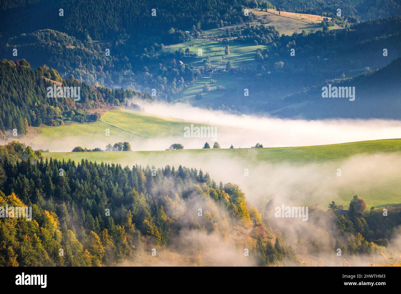 Brouillard dans les vallées du paysage de montagne en automne matin. La région d'Orava près du village de Zazriva en Slovaquie, en Europe. Banque D'Images