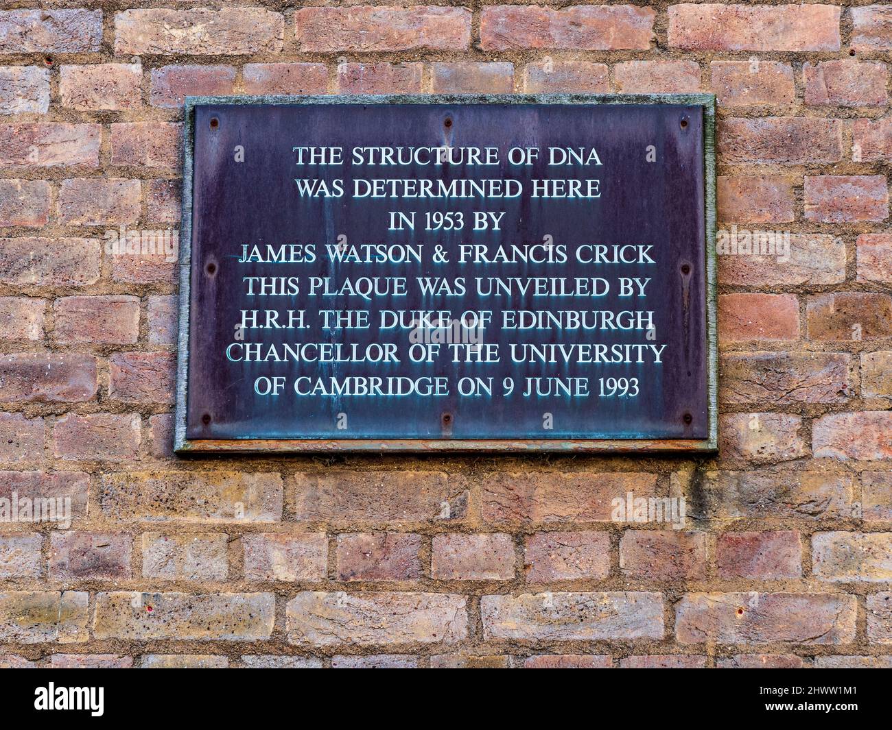 Structure de l'ADN, Cambridge - Plaque commémorant la découverte de la structure de l'ADN à l'ancien laboratoire Cavendish de l'Université de Cambridge. Banque D'Images
