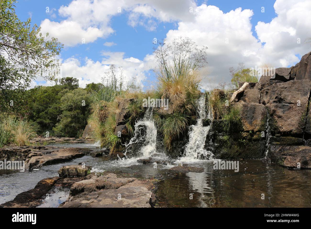 Une cascade, avec un faible volume d'eau, alimente encore la forêt de siliar. Les rochers sont visibles, et les cascades ne sont pas massives. Banque D'Images