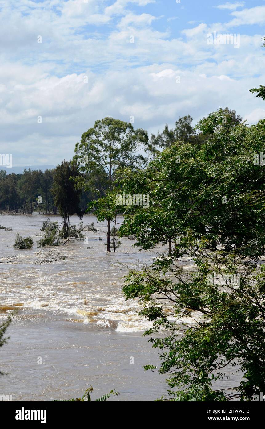 La rivière Nepean déluge à Penrith, dans la banlieue ouest de Sydney Banque D'Images