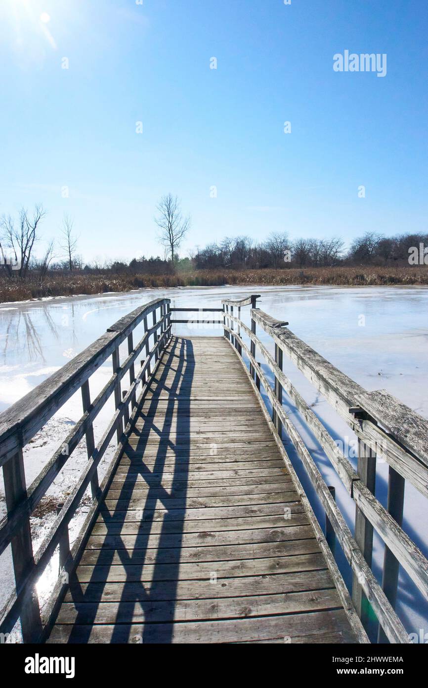 Aire de loisirs Richard Bong en hiver, Kansasville, Wisconsin. Banque D'Images