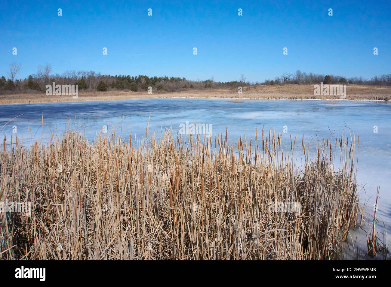 Aire de loisirs Richard Bong en hiver, Kansasville, Wisconsin. Banque D'Images