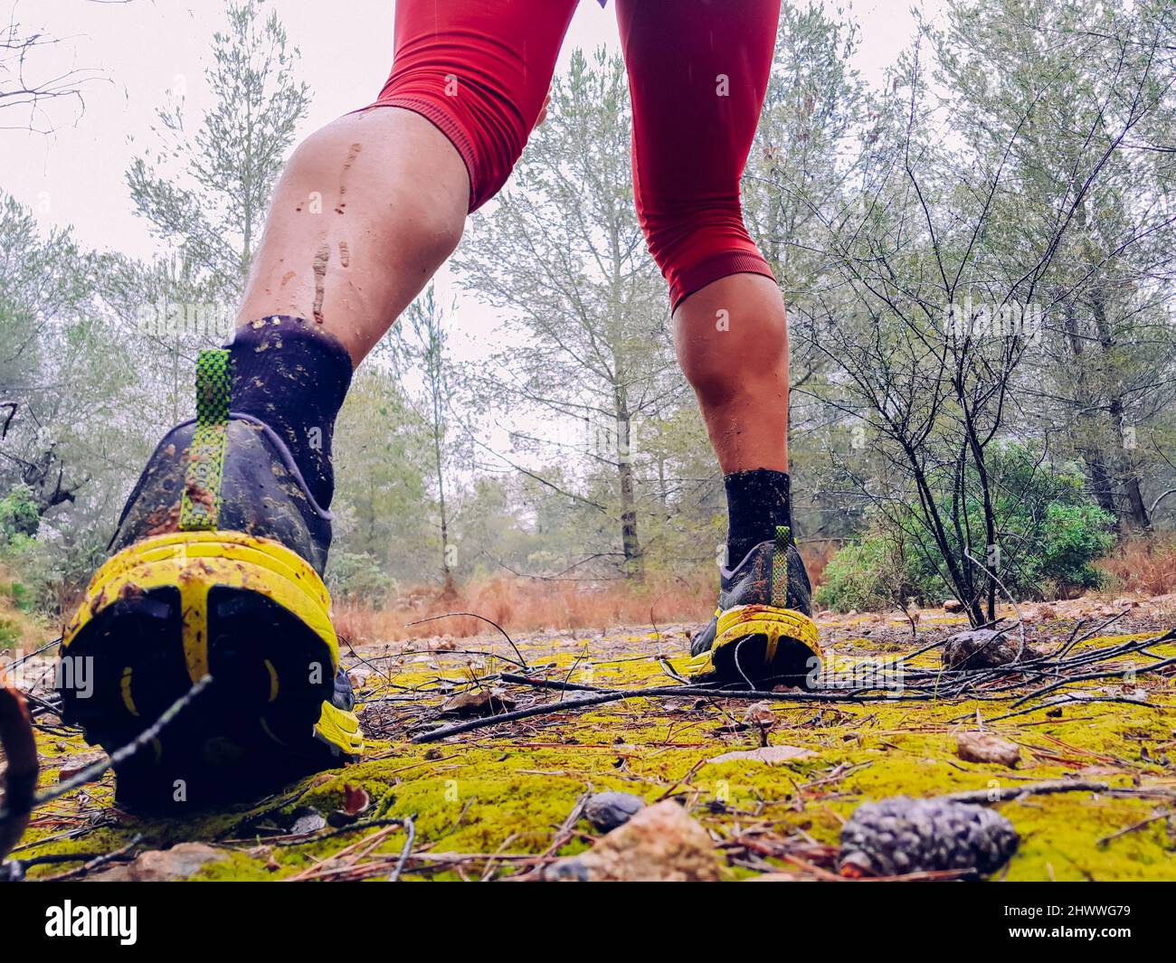 Un coureur de sentier vu courir de l'arrière à travers la forêt humide lors d'une journée pluvieuse et boueuse. Banque D'Images