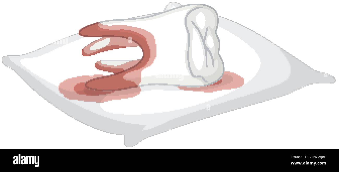 Dent extraite sur l'illustration de fond blanc Illustration de Vecteur