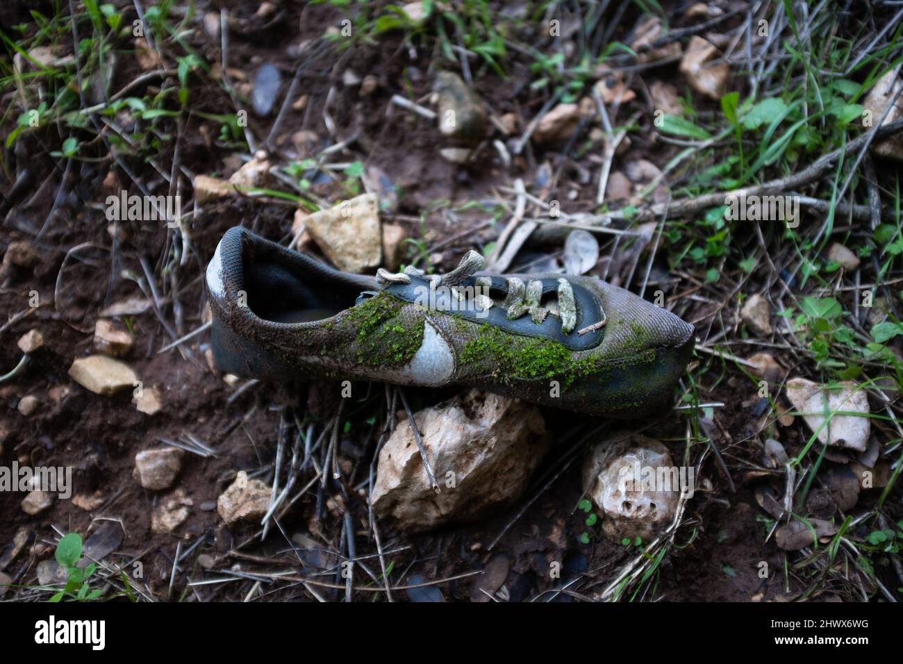 Abandon de la chaussure Nike recouverte de mousse dans la forêt Banque D'Images