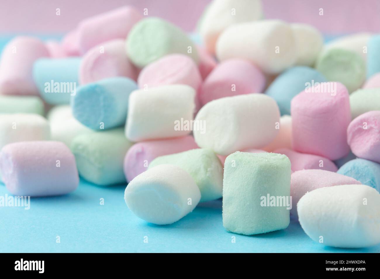 Guimauves colorées sur fond bleu pâle. Banque D'Images