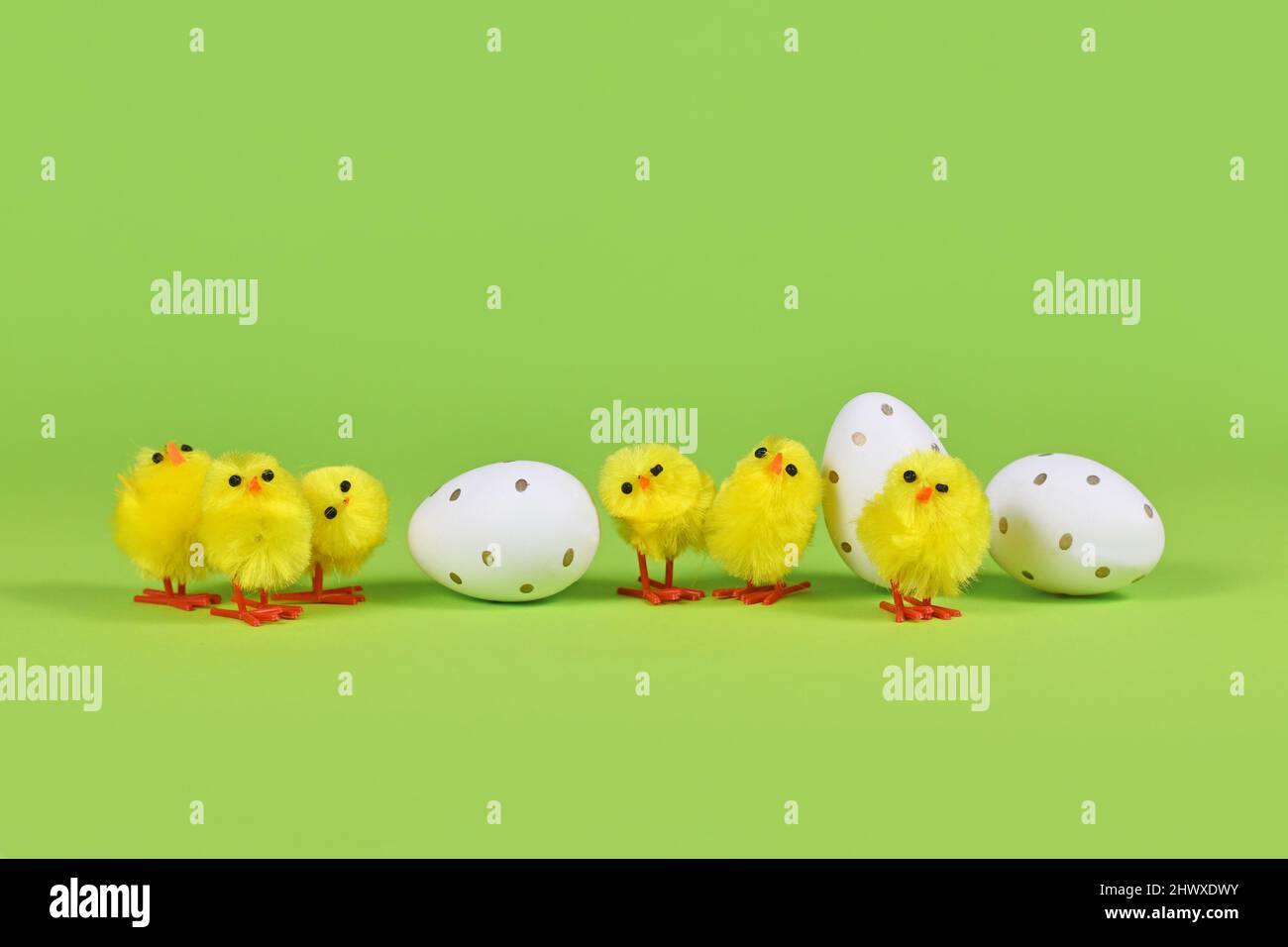 Petits poulets de pâques décoratifs et œufs d'affilée sur fond vert Banque D'Images