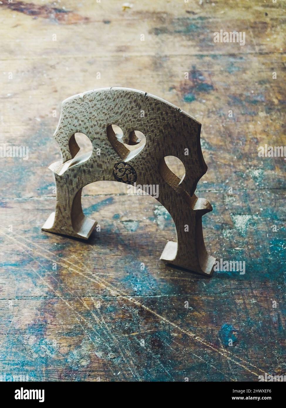 Carlos Roberts maître luthier violon fabricant choosignez le pont droit pour un nouveau violoncelle de sa production à son atelier Banque D'Images