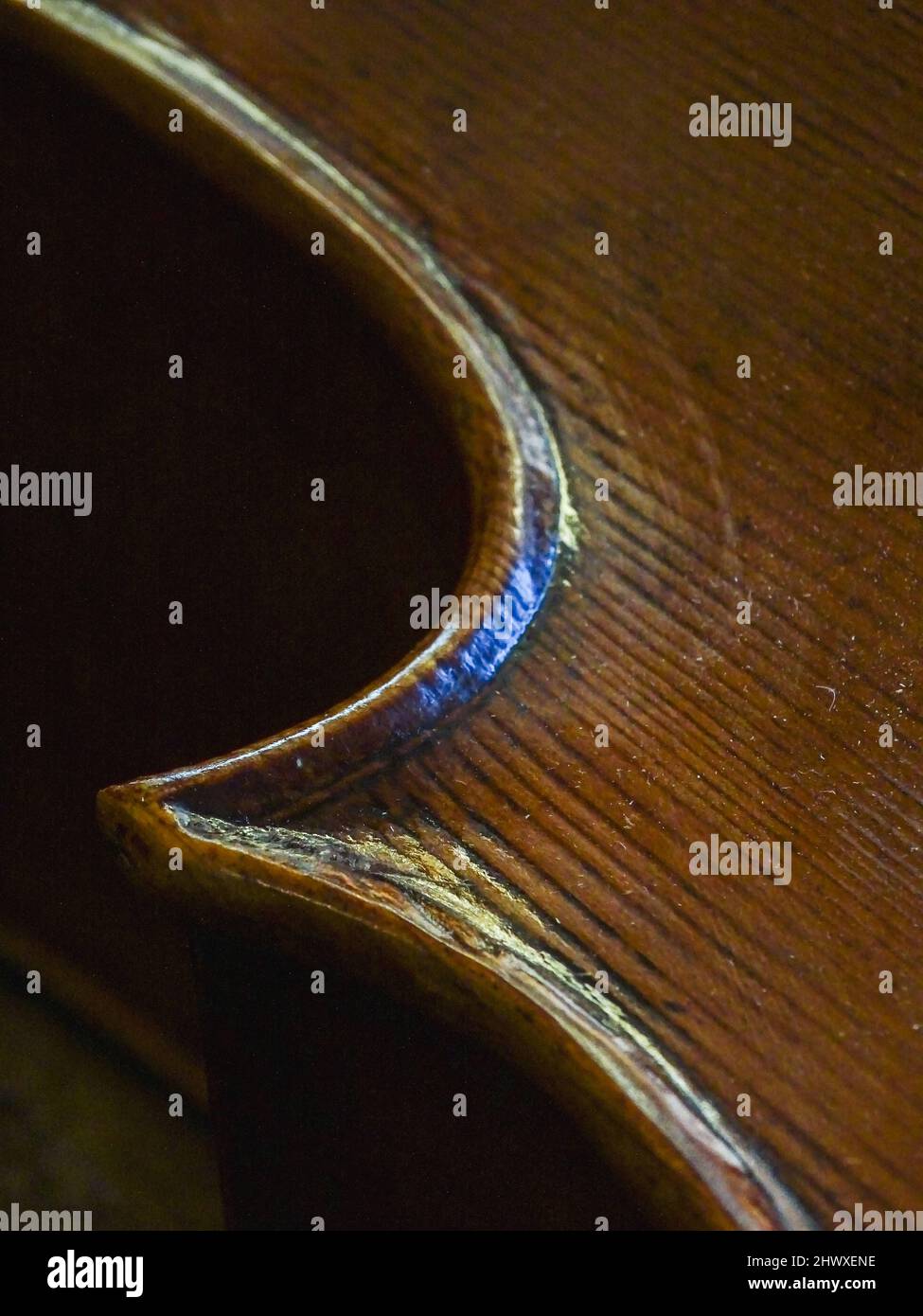 Carlos Roberts maître luthier violon fabricant choosignez le pont droit pour un nouveau violoncelle de sa production à son atelier Banque D'Images
