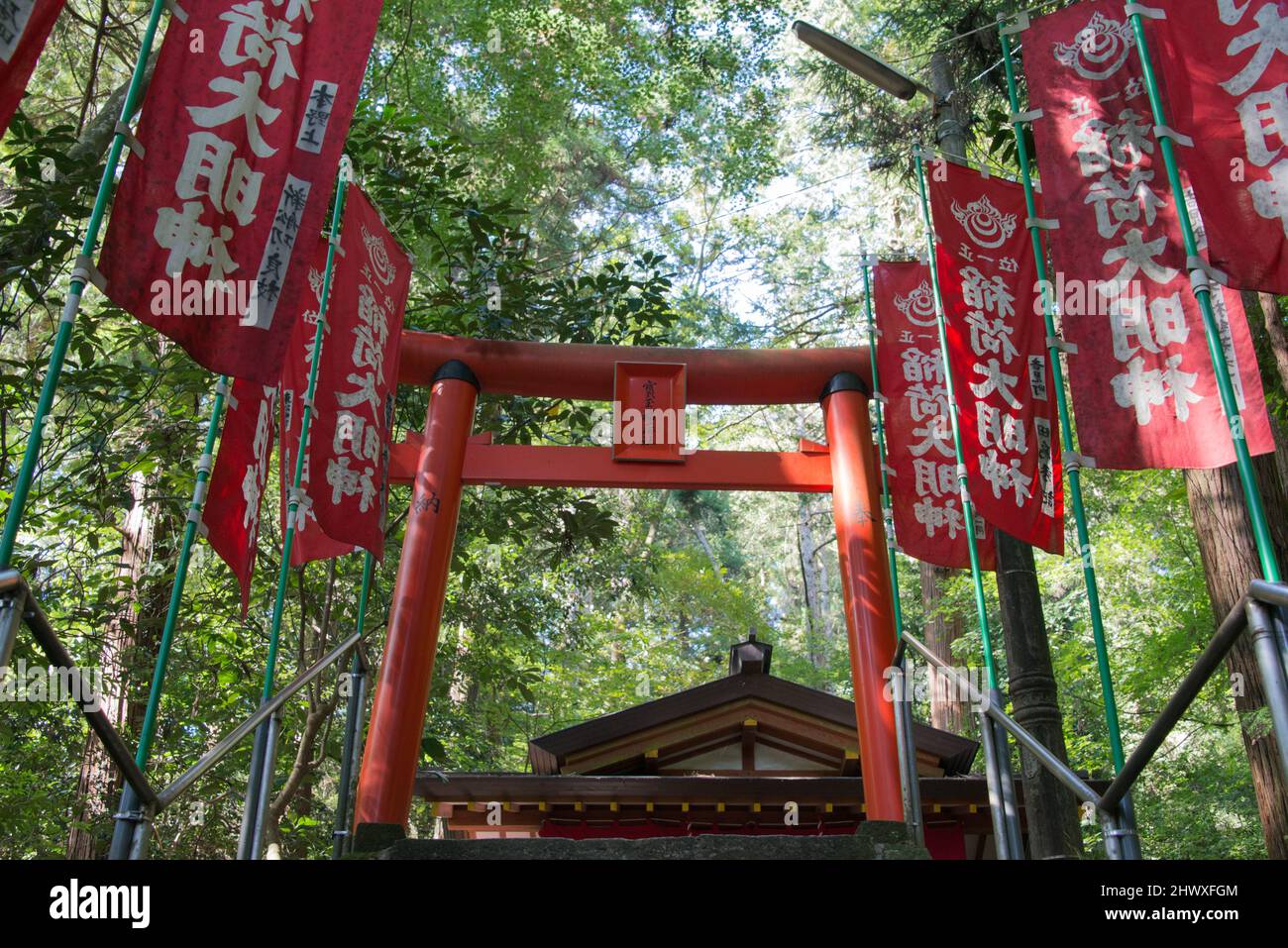 Porte de torii japonais du sanctuaire Hodosan, Chichibu Nagatoro, Saitama, Japon Banque D'Images