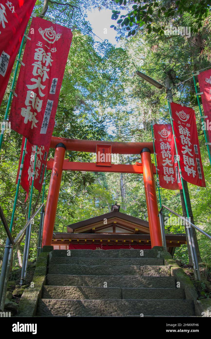 Porte de torii japonais du sanctuaire Hodosan, Chichibu Nagatoro, Saitama, Japon Banque D'Images
