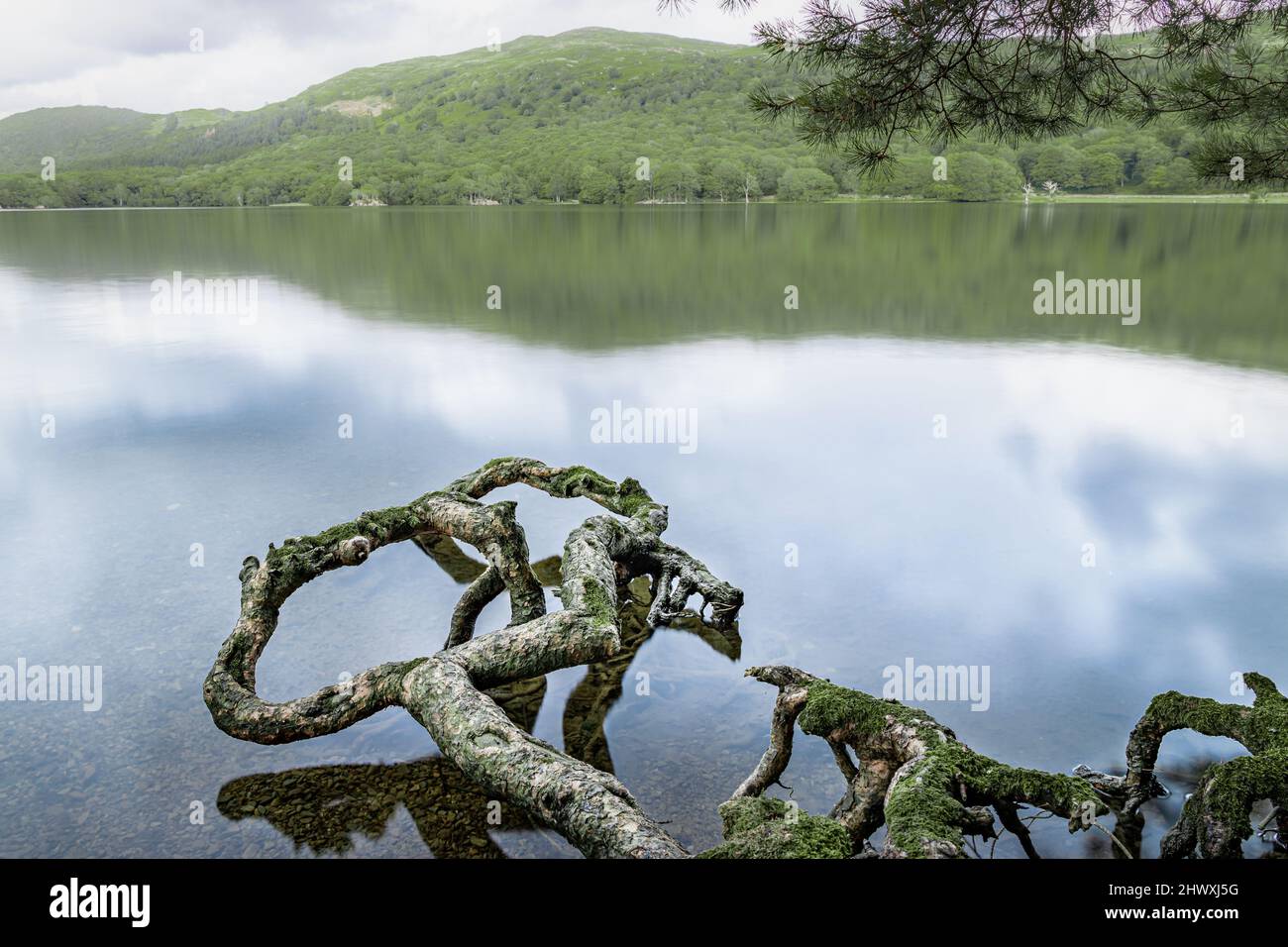 Lake District Angleterre Royaume-Uni Banque D'Images