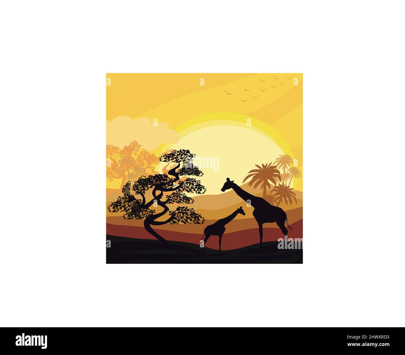 Affiche carte Savannah africaine de dessin animé - girafes au coucher du soleil Illustration de Vecteur