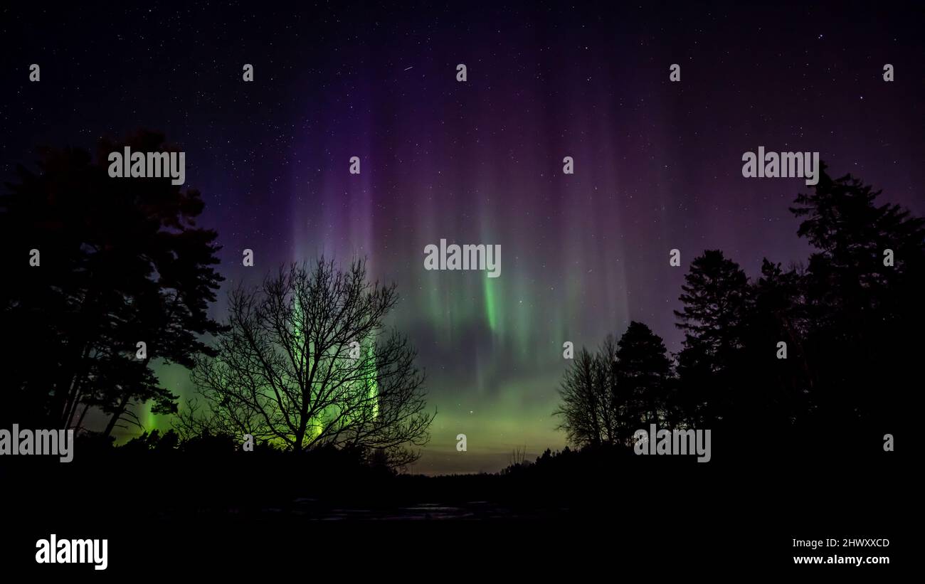 Les rideaux aurores boréales clignotent en jaune, vert, rouge et lilas. Une aurore est une exposition de lumière naturelle dans le ciel, principalement s. Banque D'Images