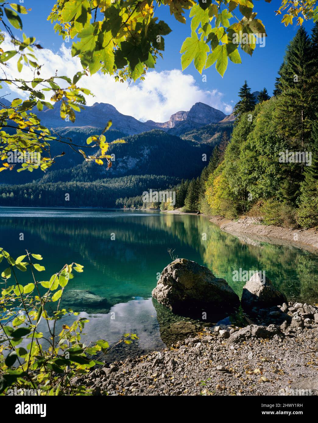 Lago di Tovel, Trentin-Haut-Adige, Italie Banque D'Images