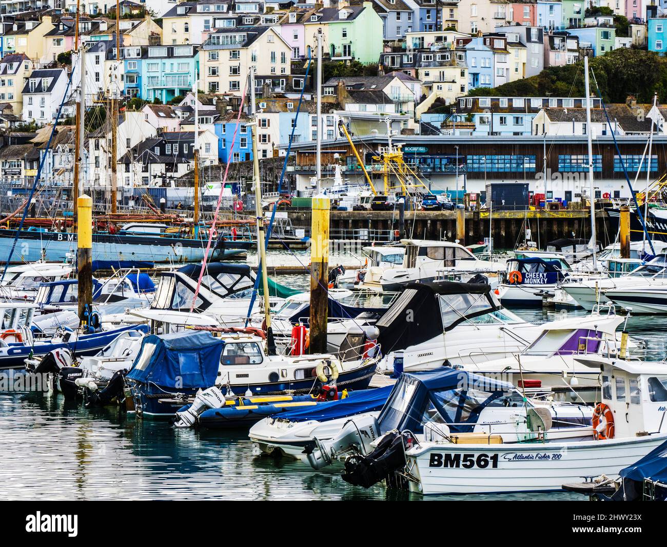 Port et ville de Brixham dans le sud du Devon. Banque D'Images
