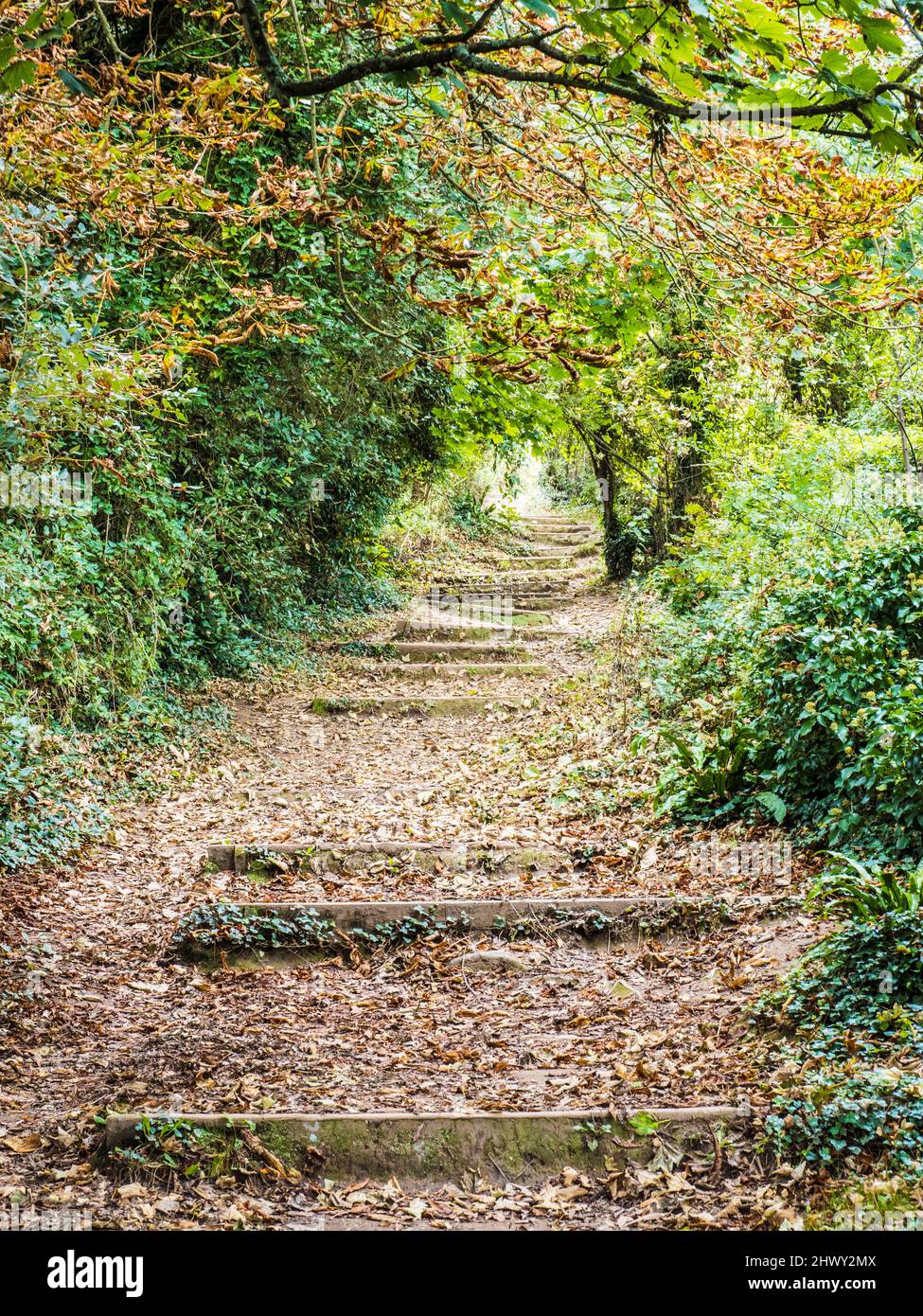 Partie du South West Coast Path près de St. Mary's Bay, Brixham, Devon. Banque D'Images