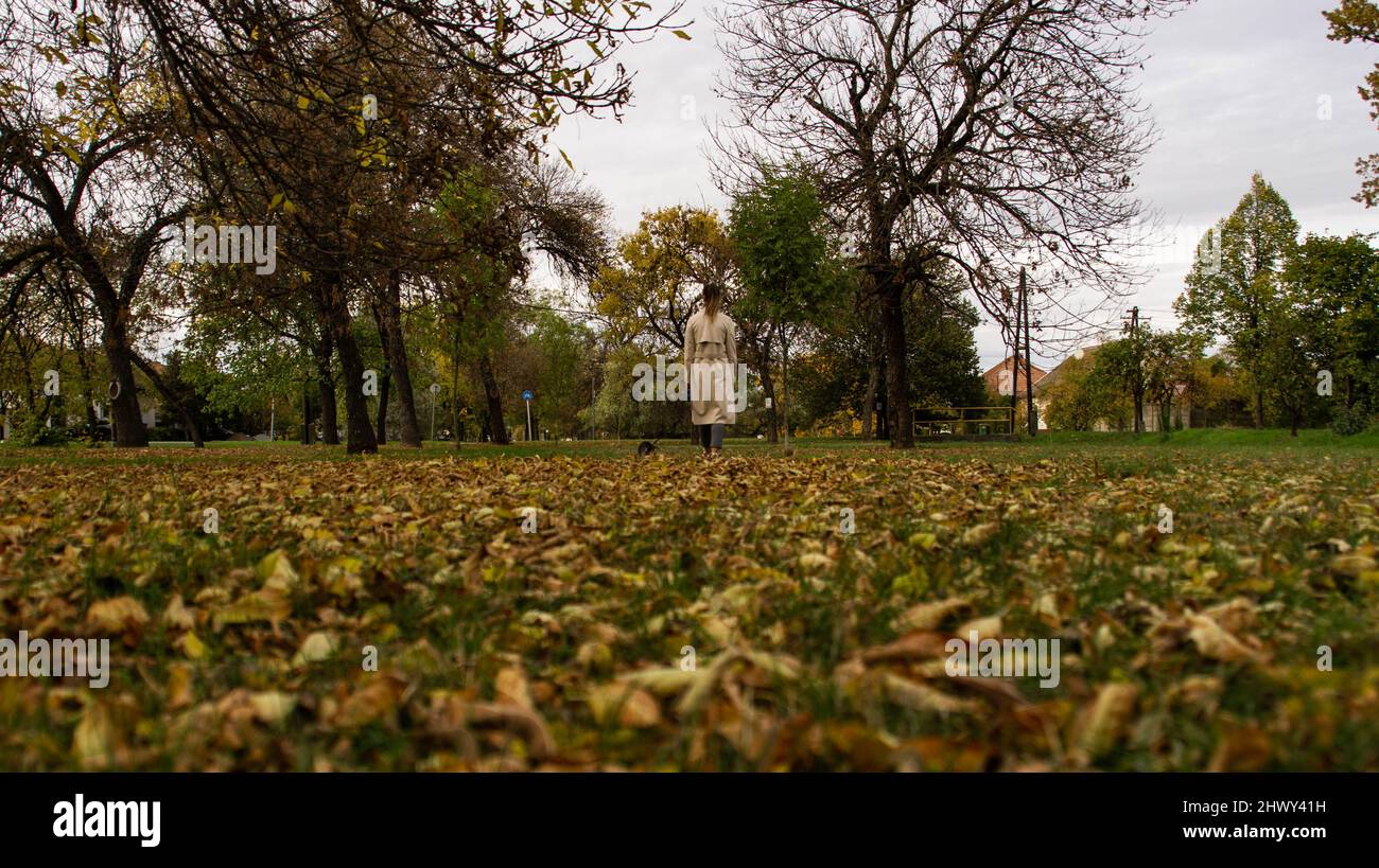 Une jeune femme prend un chien pour une promenade dans une ville hongroise Banque D'Images