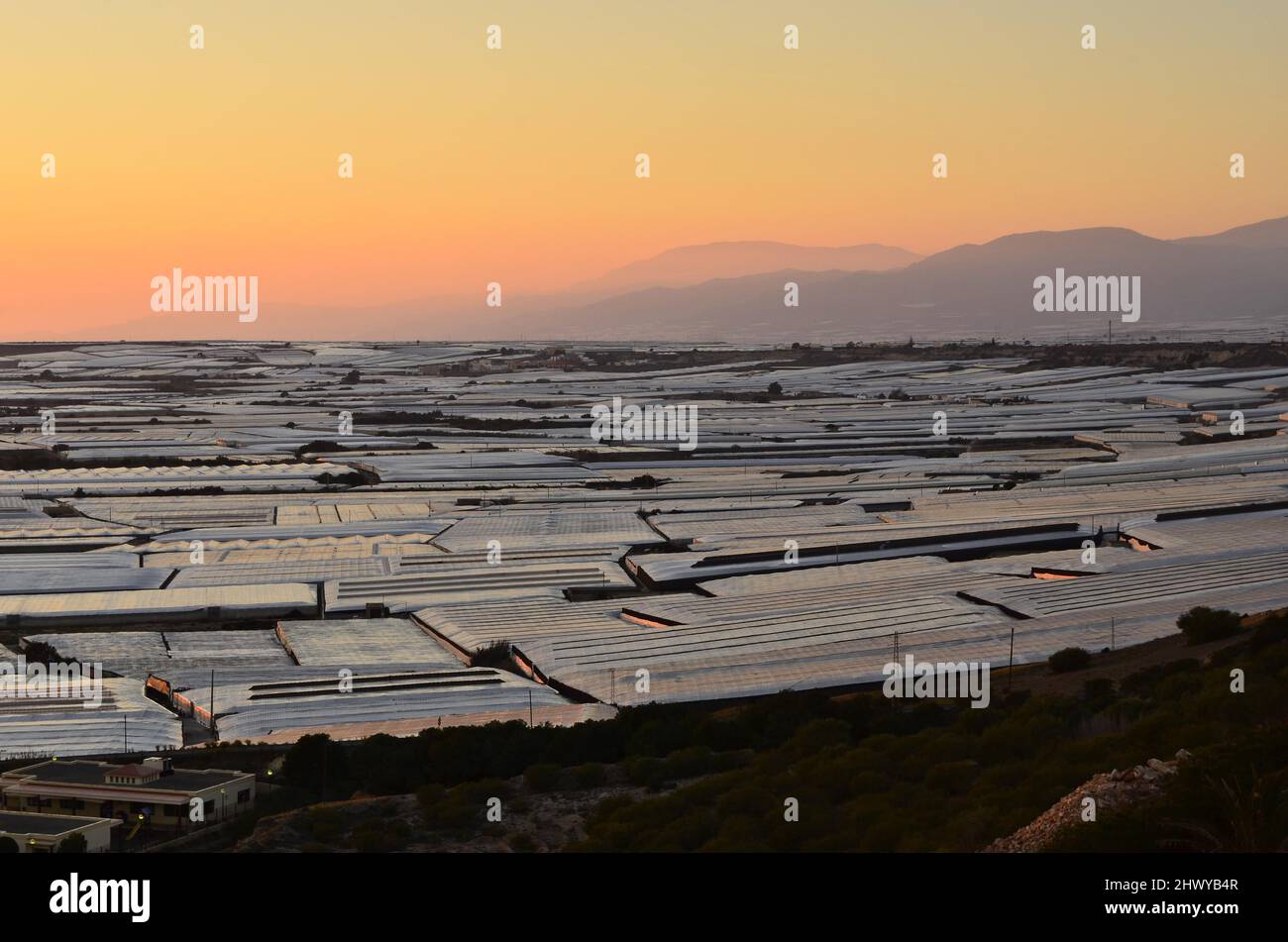 Paysage plastique, champ de serres scintillant au crépuscule dans la province d'Almerimar, dans le sud de l'Espagne. Banque D'Images