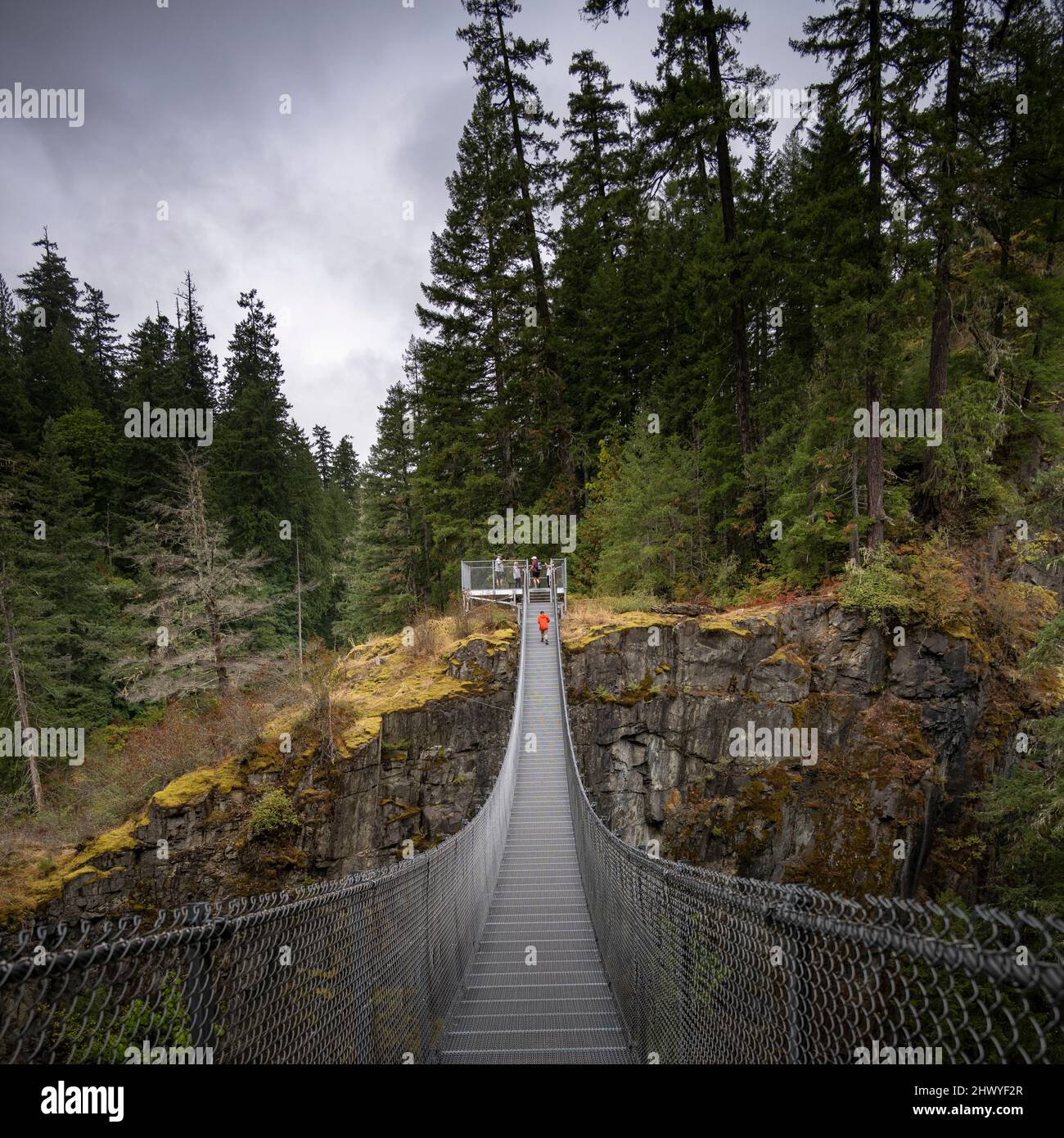 Pont suspendu Elk Falls, parc provincial Elk Falls, Campbell River, île de Vancouver, Colombie-Britannique, Canada Banque D'Images