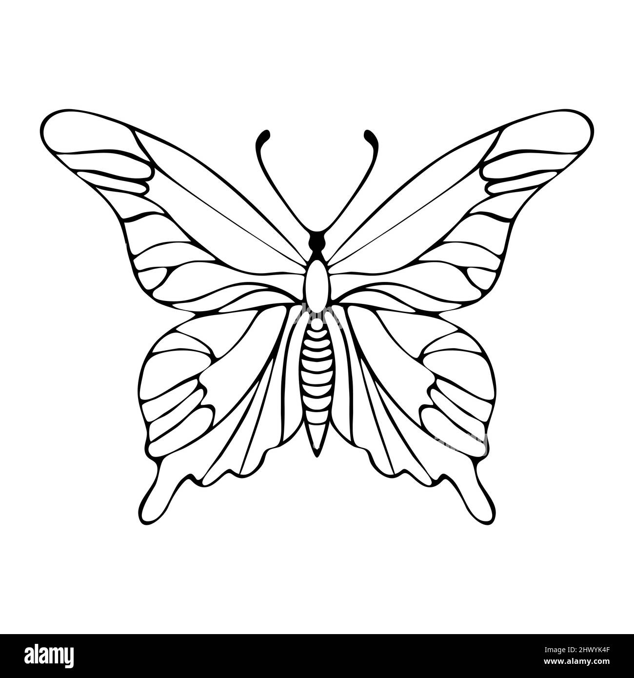 Papillon contour main dessin Doodle. Illustration vectorielle Illustration de Vecteur
