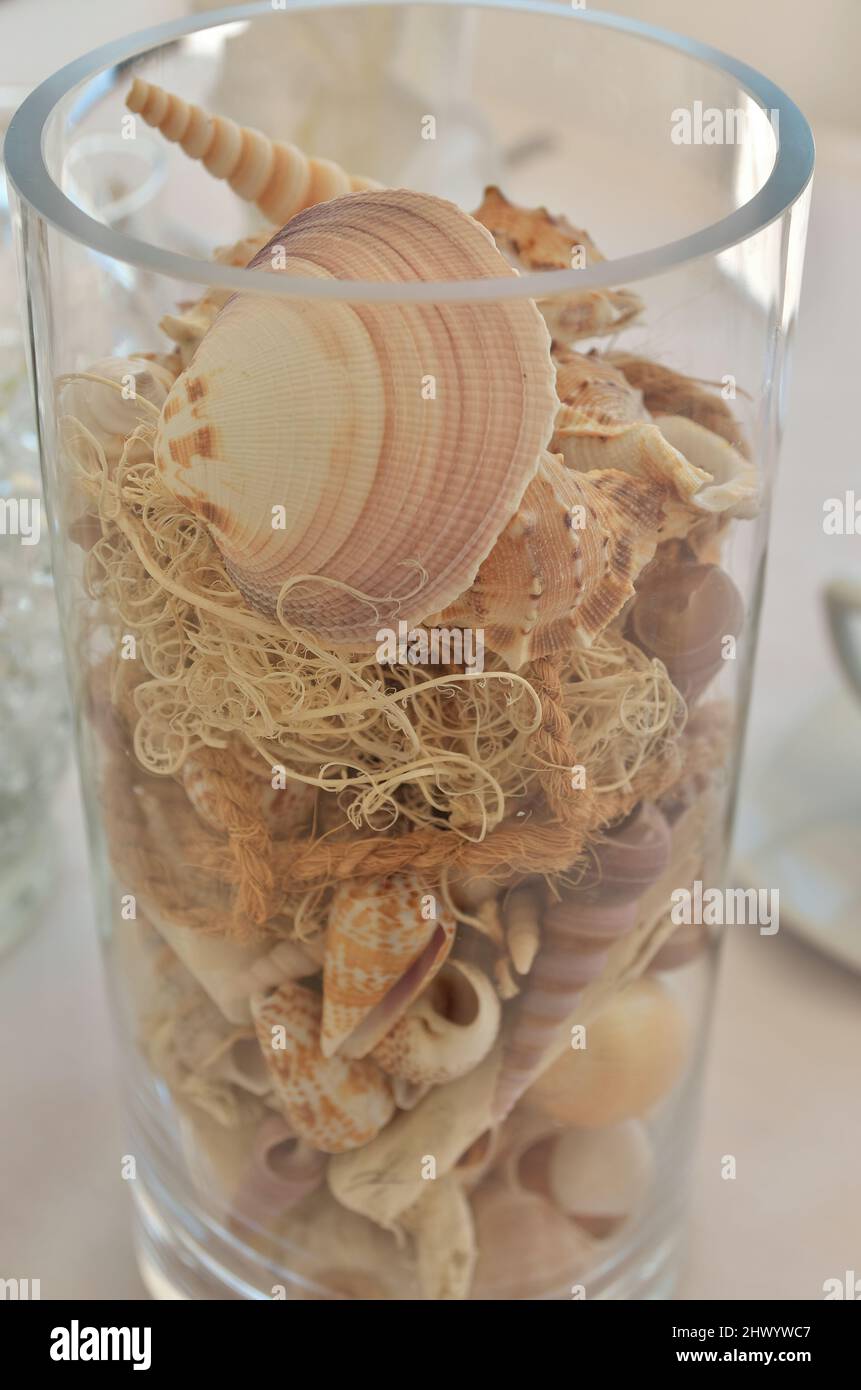 Un vase en verre rempli d'une variété de coquillages pour une fête de mariage sur la plage Banque D'Images
