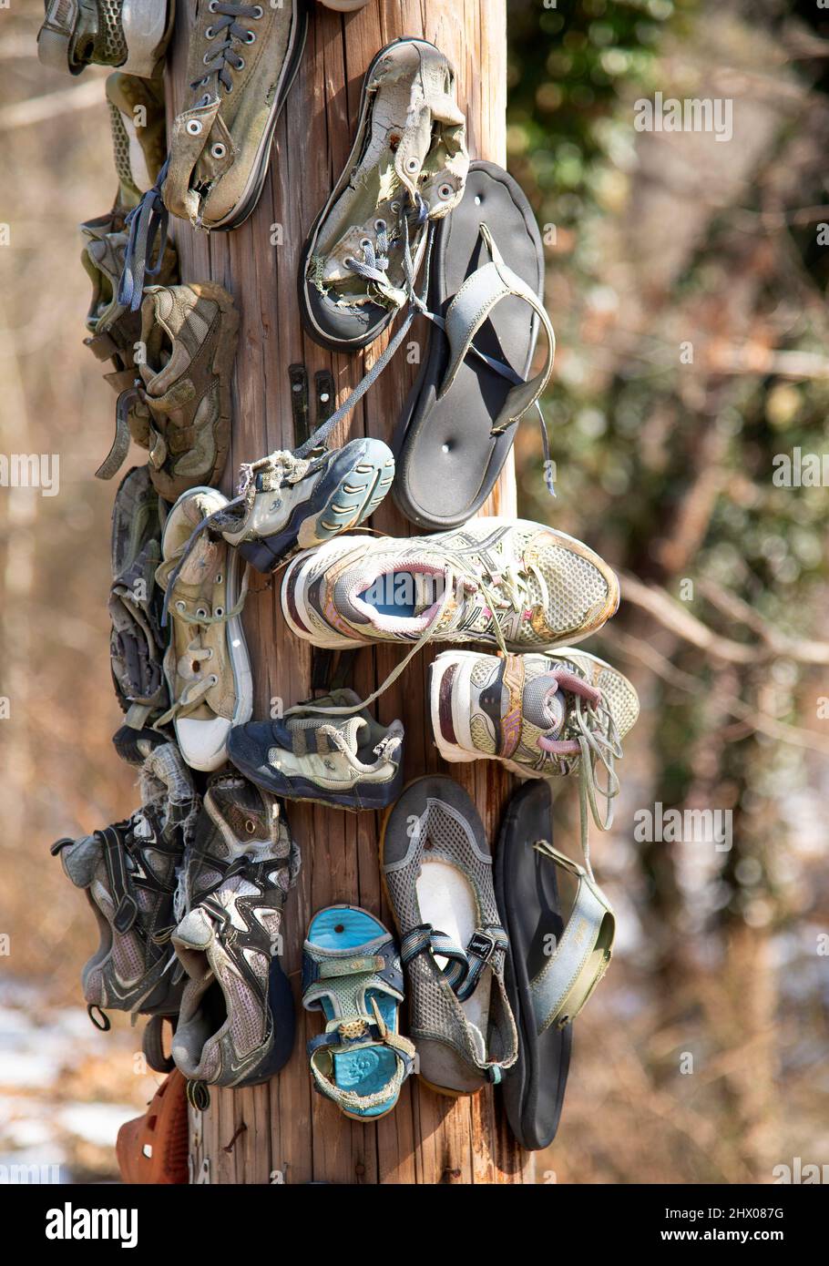 Une collection de chaussures clouées à un poteau utilitaire sur Cape Cod à Wellfleet, Massachusetts, États-Unis Banque D'Images