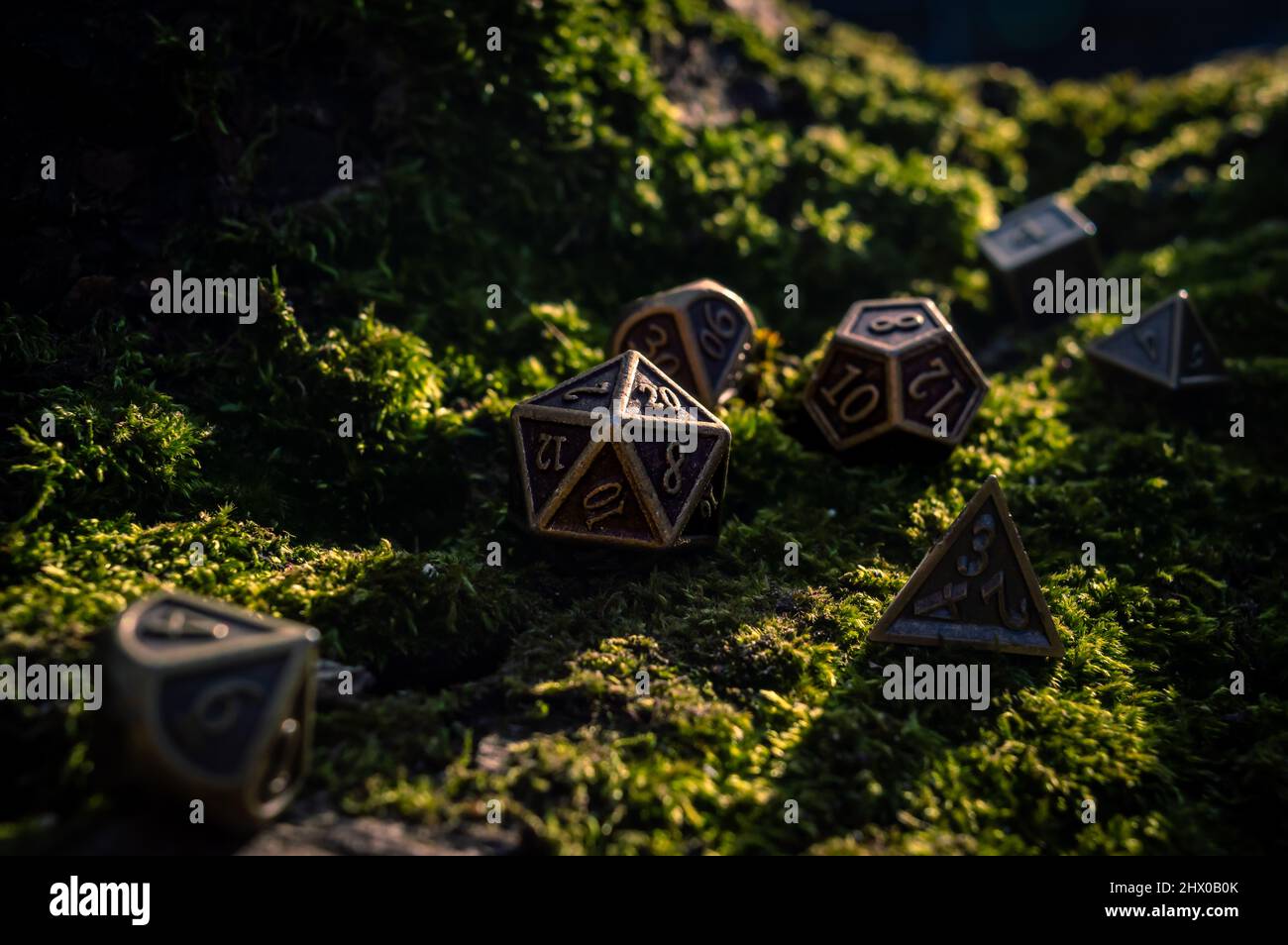 Image d'un ensemble de dés de jeu de rôle en métal sur un lit de mousse au soleil Banque D'Images