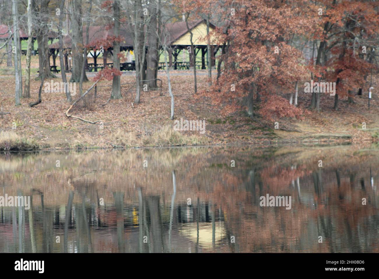 Pavillon de pique-nique au bord du lac avec réflexion Banque D'Images