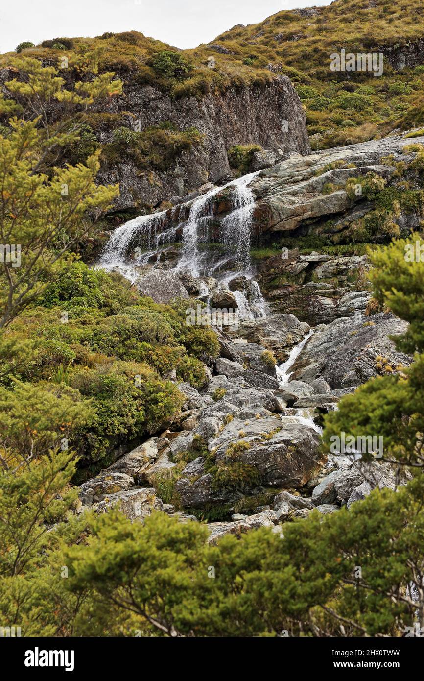 Routeburn Falls Routeburn Track Mount Aspiring National Park Nouvelle-Zélande Banque D'Images