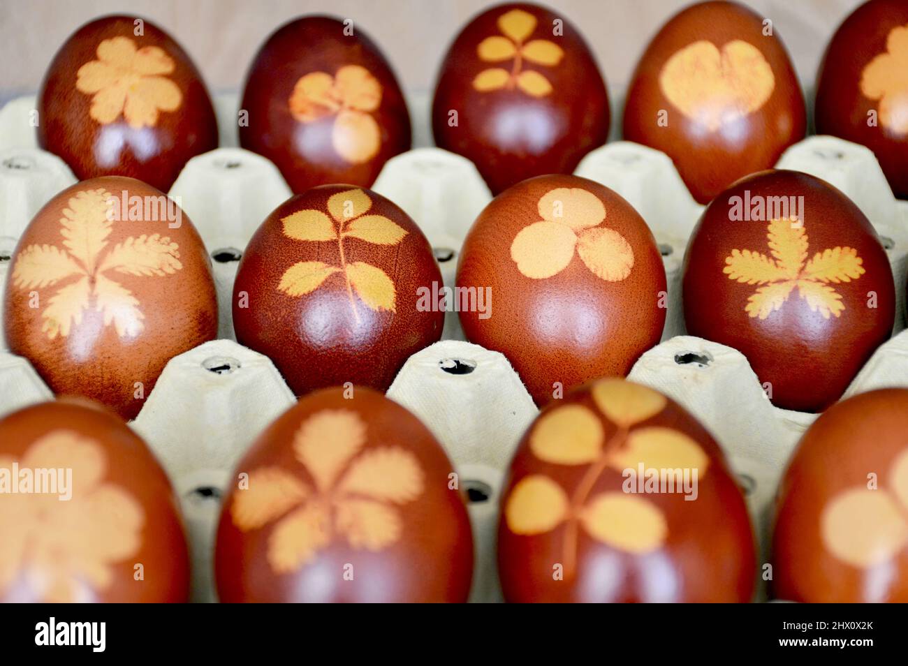 Gros plan des œufs de Pâques teints avec des peaux d'oignons Banque D'Images