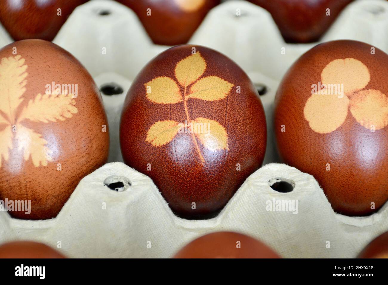 Gros plan des œufs de Pâques naturellement teints avec des peaux d'oignons Banque D'Images
