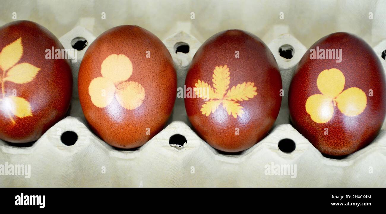 Oeufs de Pâques teints avec des peaux d'oignon Banque D'Images