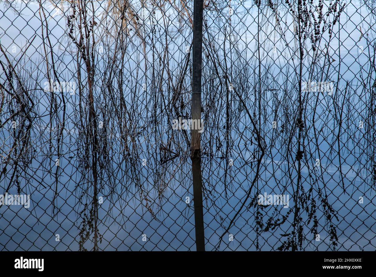 Les terres humides de Los Cerritos, autrefois des terres humides florissantes, sont maintenant la plupart du temps privées et utilisées pour les opérations d'extraction et de traitement du pétrole. Long Beach, Cali Banque D'Images