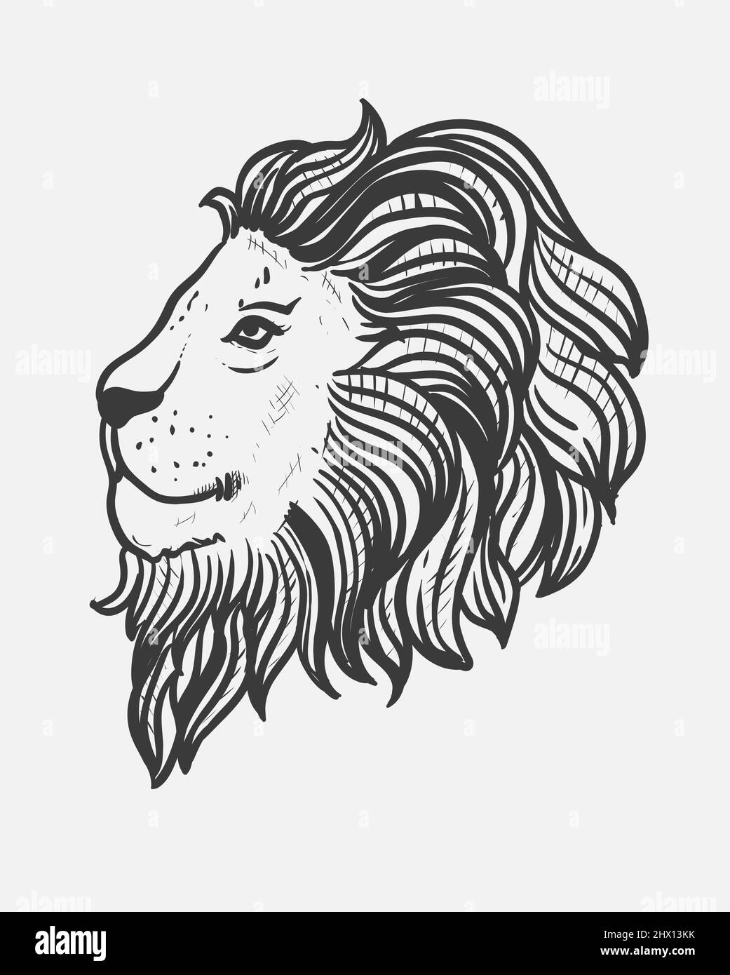 Illustration tête de lion style monochrome Illustration de Vecteur