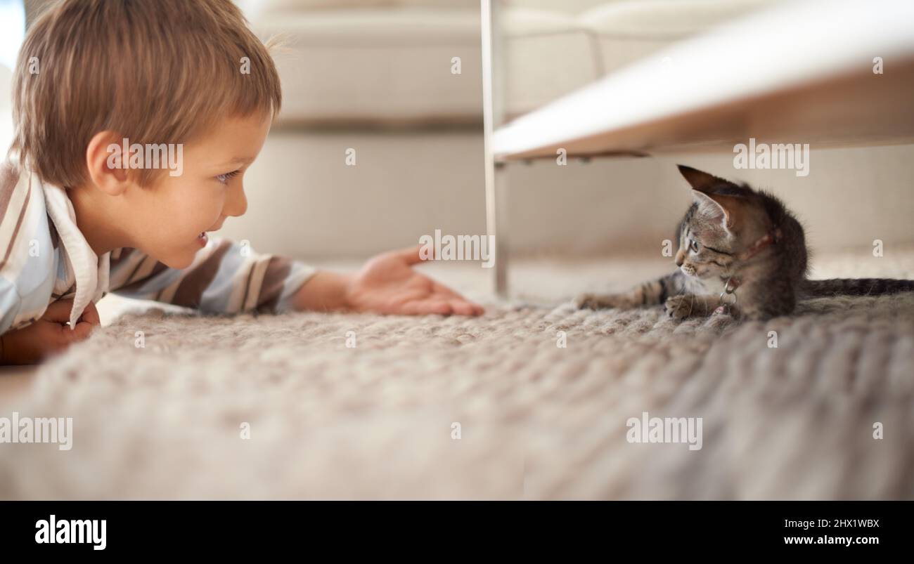Allons être amis. Un petit garçon allongé sur le sol de sa chambre à coucher et jouant avec un chaton. Banque D'Images