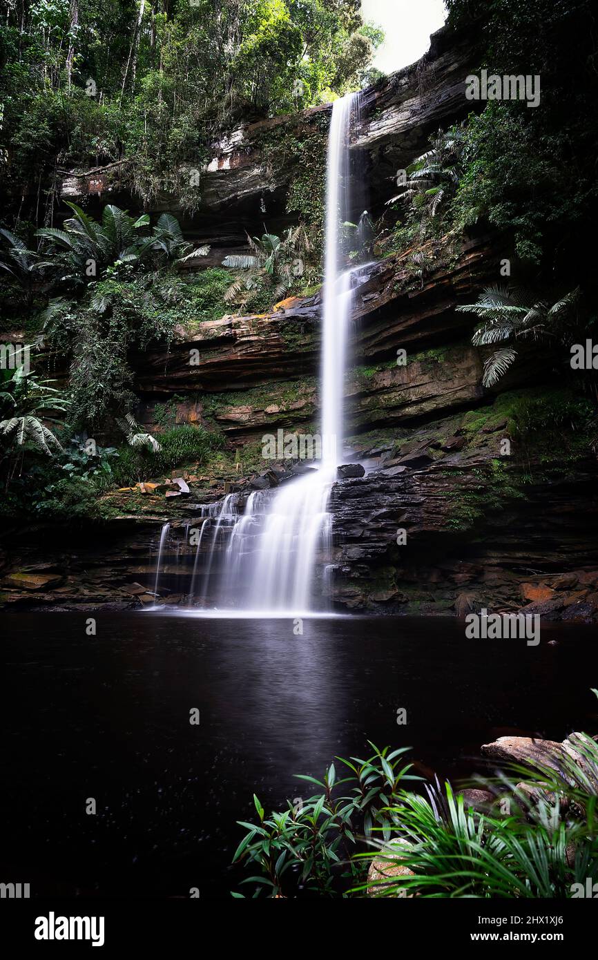 Chutes d'eau Takob Akob - bassin Maliau, Bornéo Banque D'Images