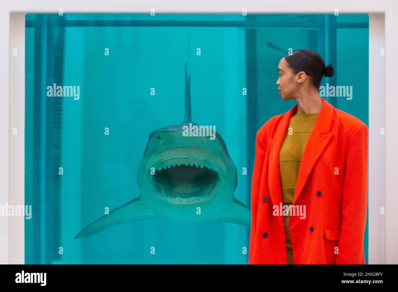 Londres, Royaume-Uni. 9 mars 2022. Un membre du personnel estime que Damien Hirst a refusé la mort en 2008. Avant-première de “Natural History”, la première exposition consacrée aux sculptures de formaldéhyde de Damien Hirst. Plus de 20 œuvres, datant de 1991 à 2021, sont exposées à la galerie de la rue Britannia de Gagosie. Credit: Stephen Chung / Alamy Live News Banque D'Images