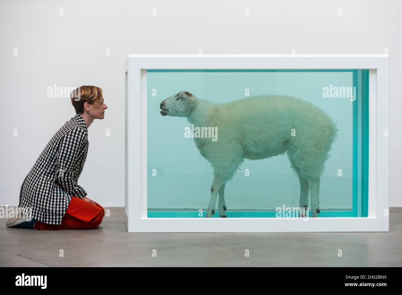 Londres, Royaume-Uni. 9 mars 2022. Un membre du personnel voit “I AM”, 1995, par Damien Hirst. Avant-première de “Natural History”, la première exposition consacrée aux sculptures de formaldéhyde de Damien Hirst. Plus de 20 œuvres, datant de 1991 à 2021, sont exposées à la galerie de la rue Britannia de Gagosie. Credit: Stephen Chung / Alamy Live News Banque D'Images