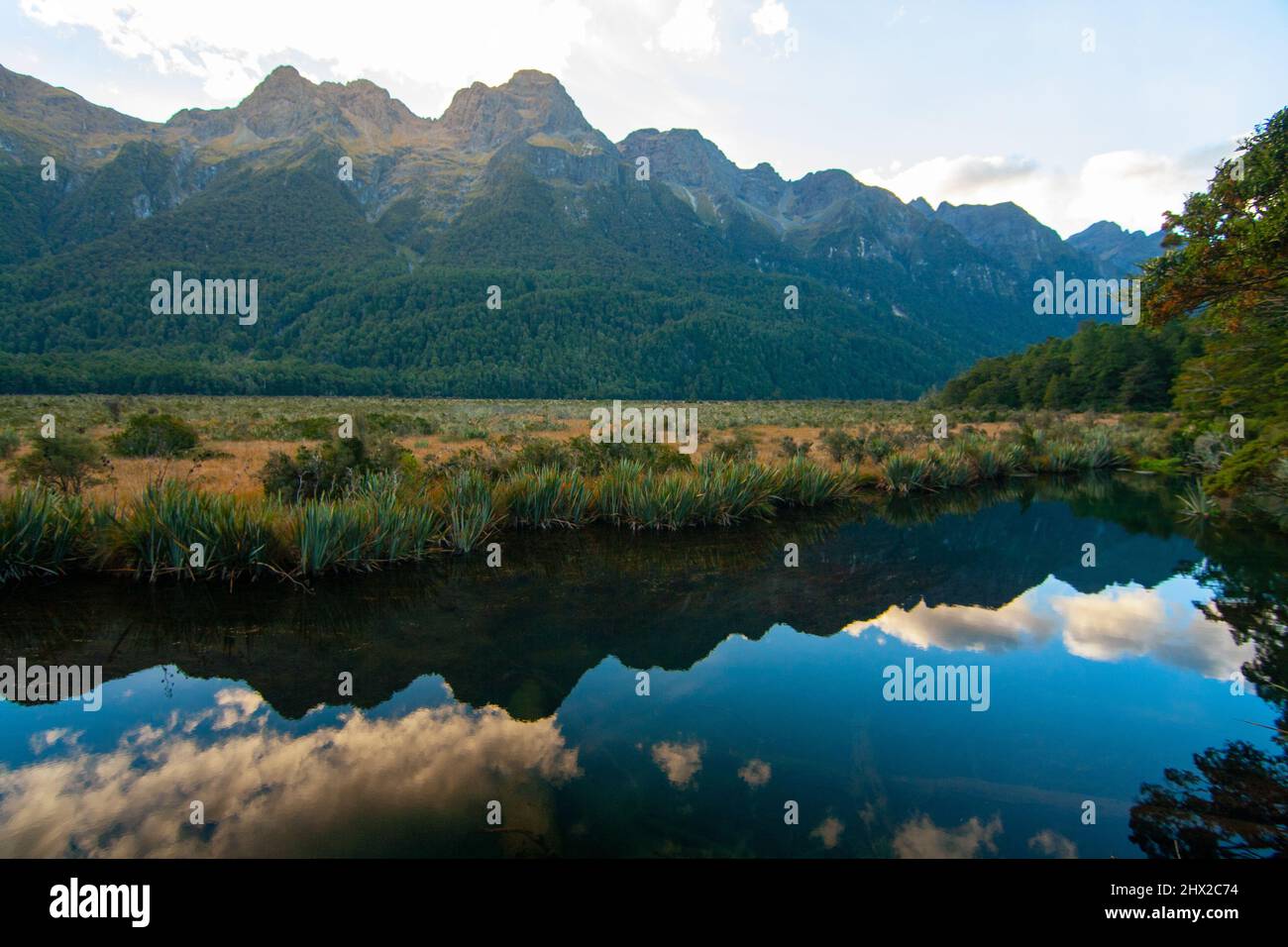 Mirror Lakes Nouvelle-Zélande, Earl Mountains réflexion dans l'eau, Parc national Fiordland Banque D'Images