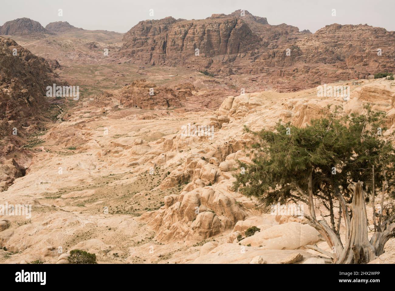 Petra, vue panoramique (patrimoine mondial de l'UNESCO). Gouvernorat de ma'an, Jordanie. Banque D'Images