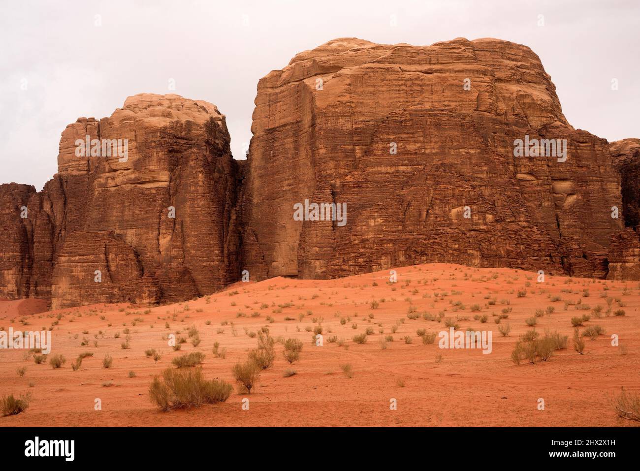 Wadi Rum ou Vallée de la Lune (patrimoine mondial de l'UNESCO). Montagnes de grès et désert. Jordanie. Banque D'Images